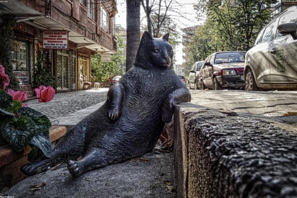 力量训练上衣怎么选